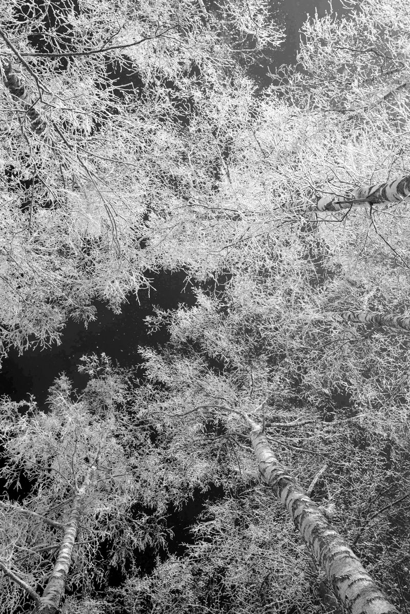 © Tatiana Mishchenko - Image from the World of Trails photography project