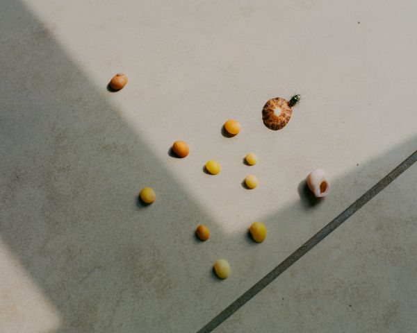 © Jean-Baptiste Thiriet - Image from the Je n'irai plus voir la mer photography project