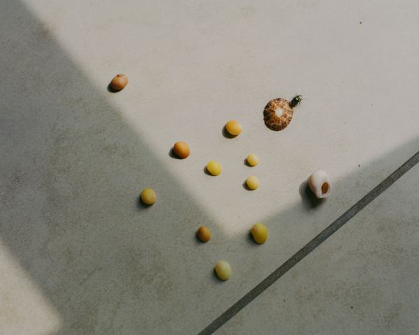 © Jean-Baptiste Thiriet - Image from the Je n'irai plus voir la mer photography project