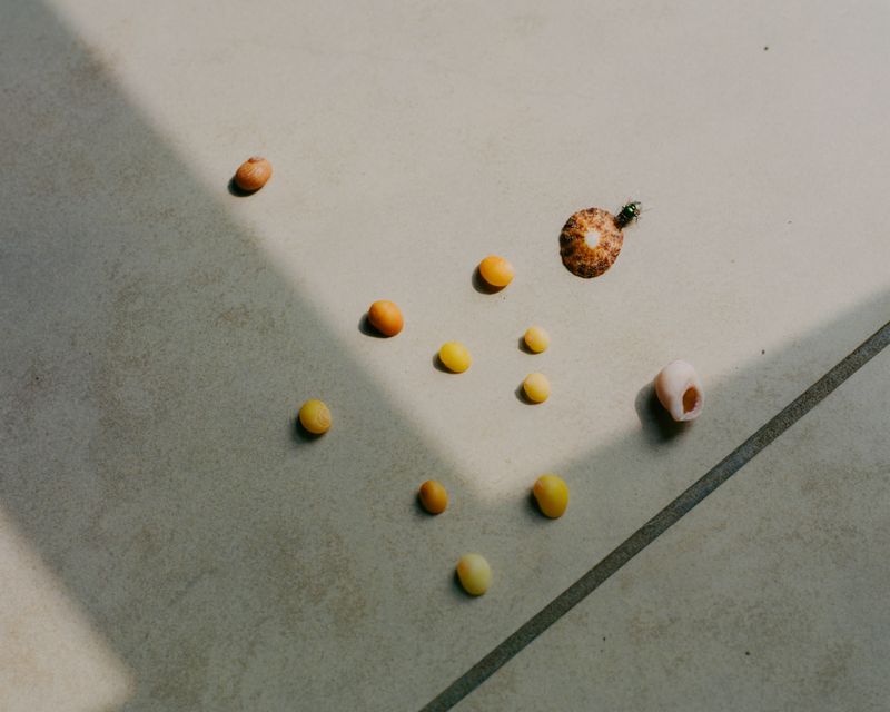 © Jean-Baptiste Thiriet - Image from the Je n'irai plus voir la mer photography project