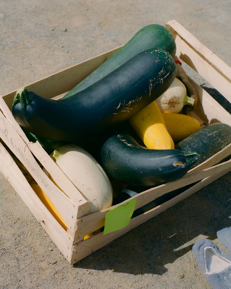 © Jean-Baptiste Thiriet - Image from the Je n'irai plus voir la mer photography project