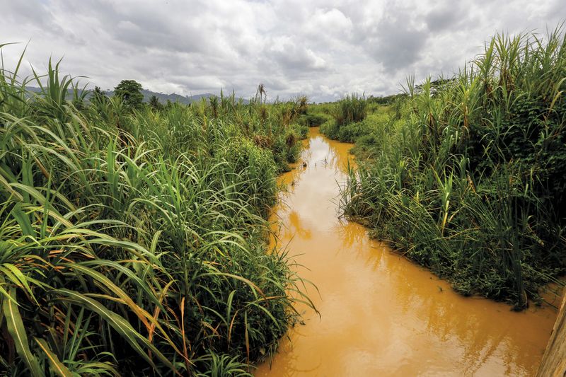 © Heidi Wentworth-Ping - Image from the Gold Fever photography project