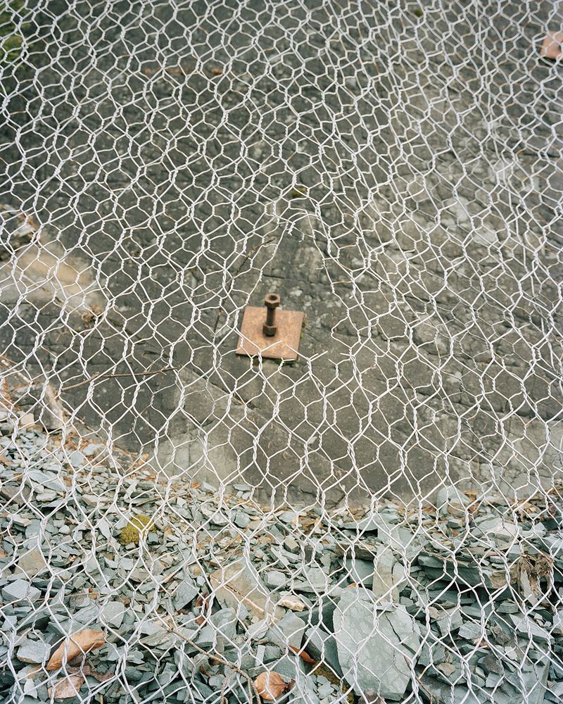 © Marina Caneve - Protection