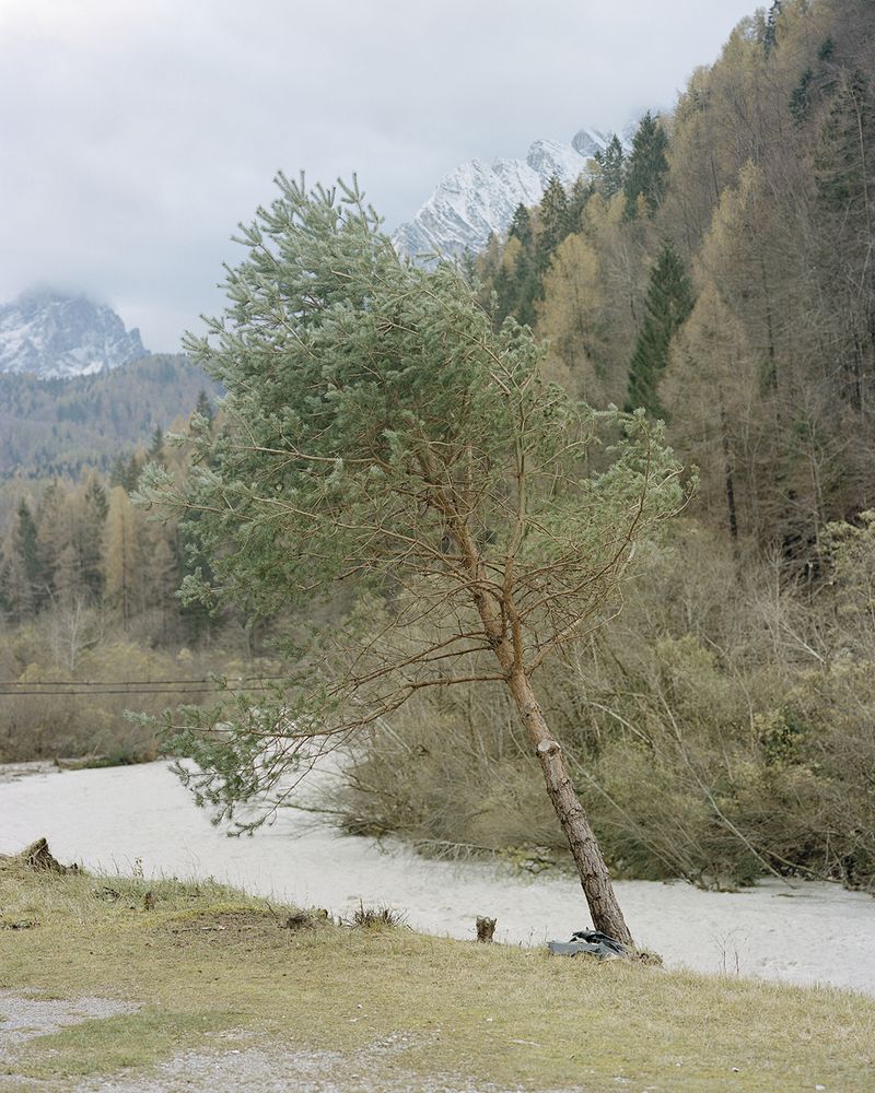 © Marina Caneve - Resilience