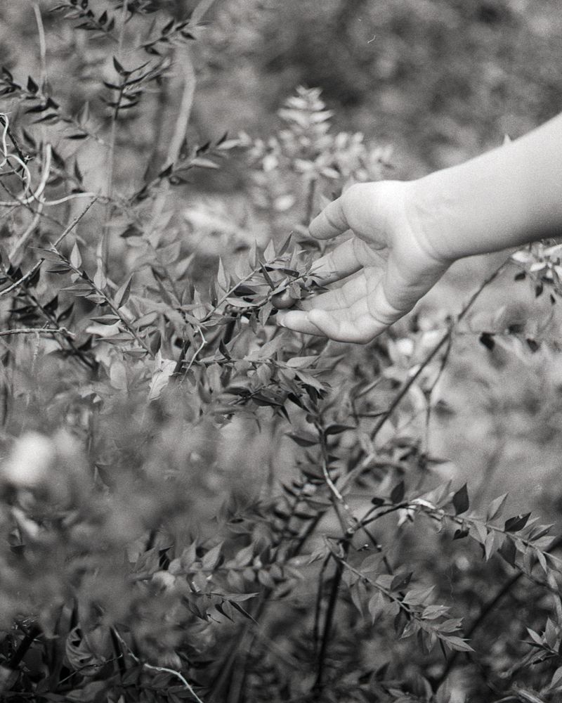 © Niccolò Varrella - Image from the Ab aqua photography project