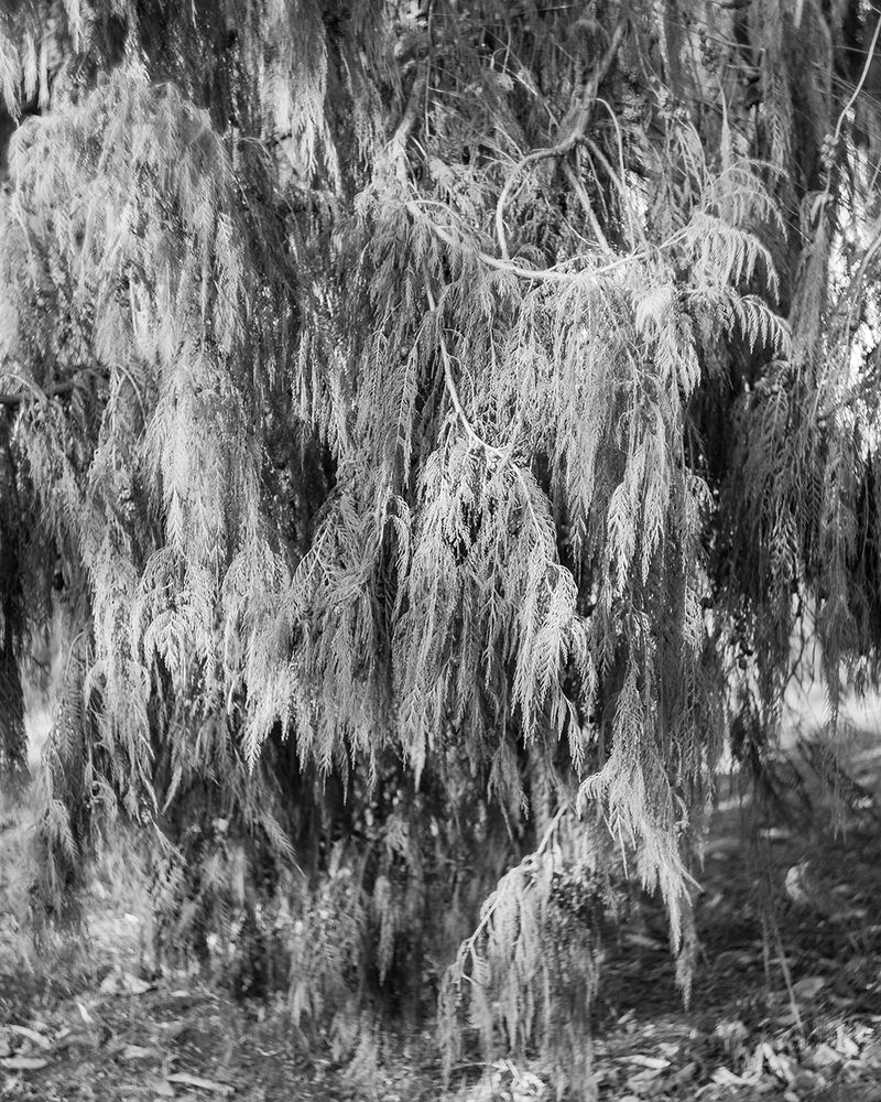 © Niccolò Varrella - Image from the Ab aqua photography project