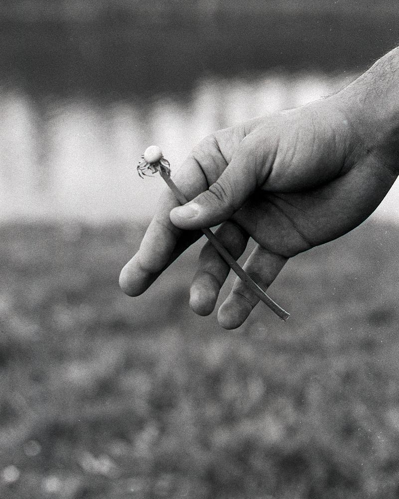 © Niccolò Varrella - Image from the Ab aqua photography project