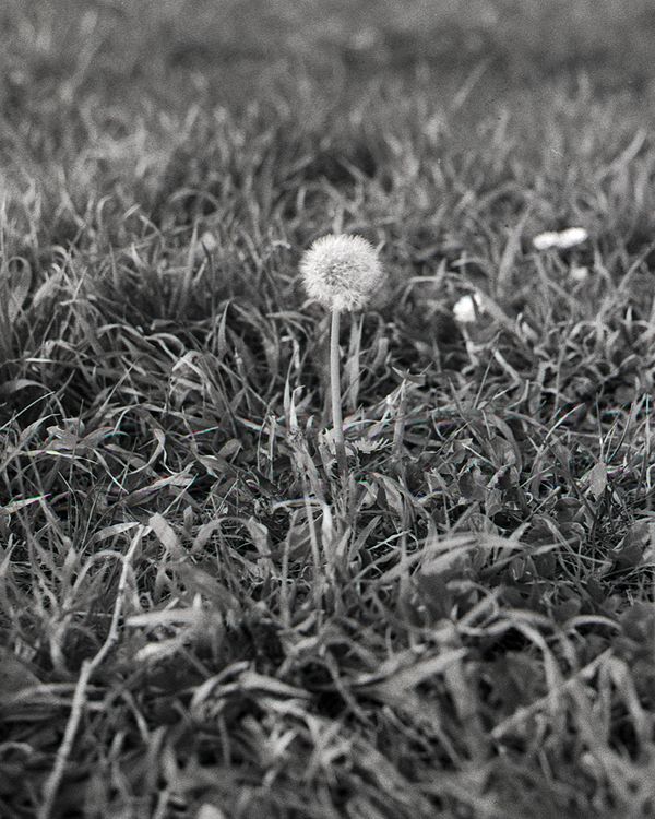 © Niccolò Varrella - Image from the Ab aqua photography project