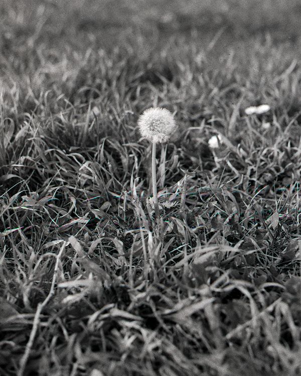 © Niccolò Varrella - Image from the Ab aqua photography project