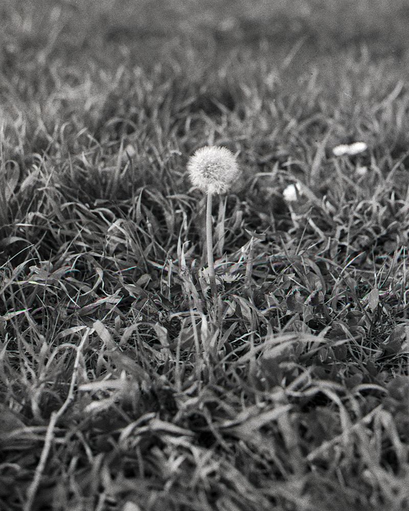 © Niccolò Varrella - Image from the Ab aqua photography project