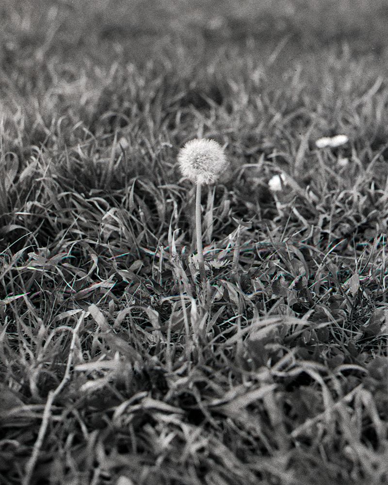 © Niccolò Varrella - Image from the Ab aqua photography project