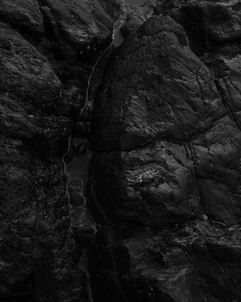 © Niccolò Varrella - Image from the Ab aqua photography project