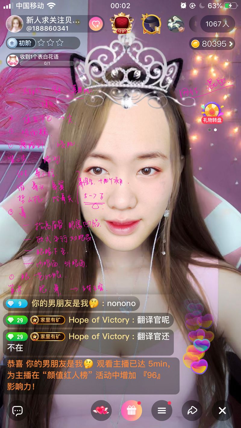 © Yufan Lu - Cosmetic surgery diagnosis: Internet celebrity face