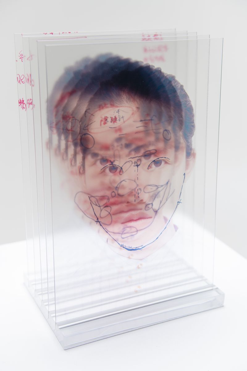 © Yufan Lu - A glass sculpture made of five cosmetic surgery diagnosis images