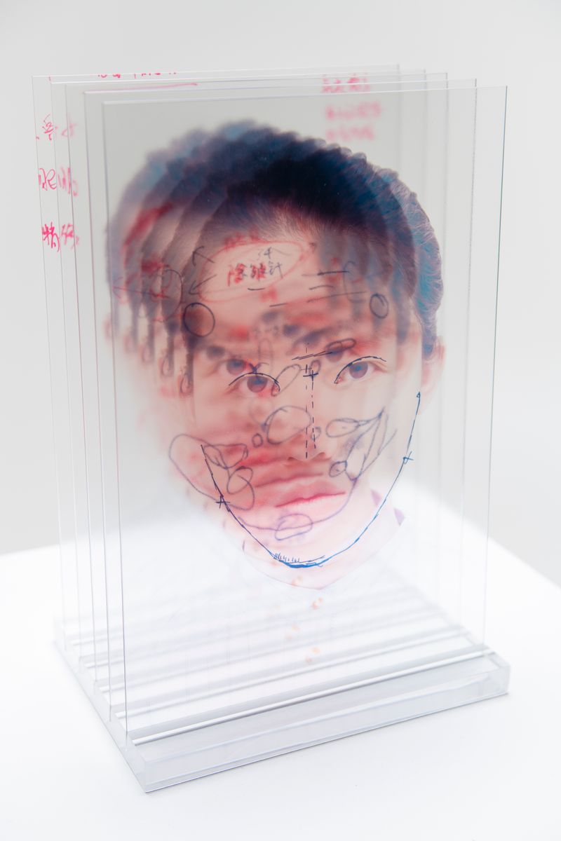 © Yufan Lu - A glass sculpture made of five cosmetic surgery diagnosis images