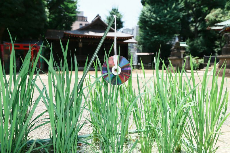 © Kenta Nakamura - Image from the Offerings photography project