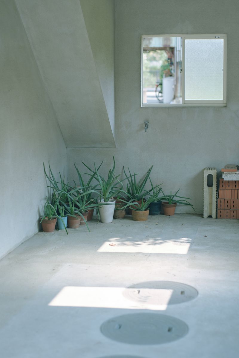 © Kenta Nakamura - Image from the Re: Release into the galaxy photography project