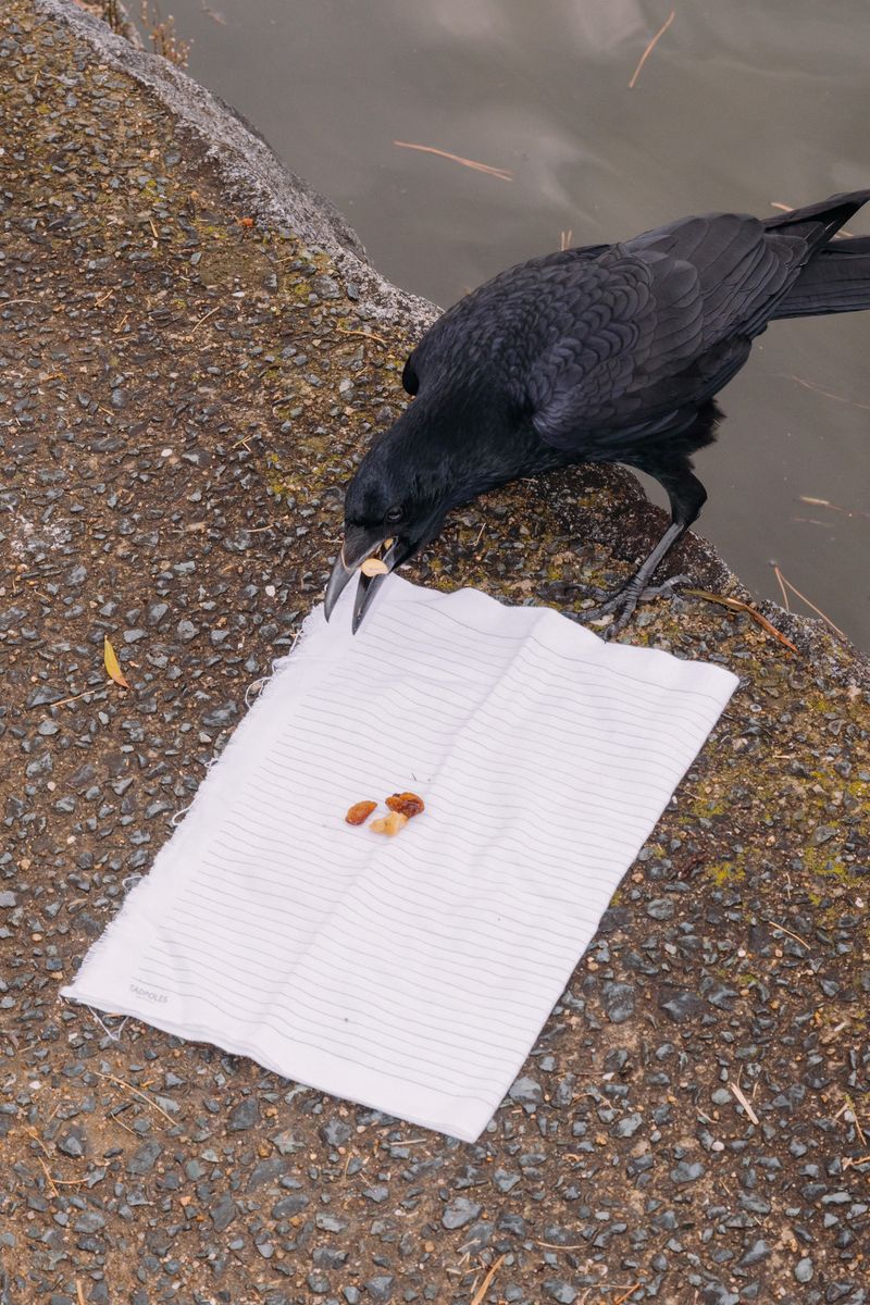 © Kenta Nakamura - Image from the Re: Release into the galaxy photography project