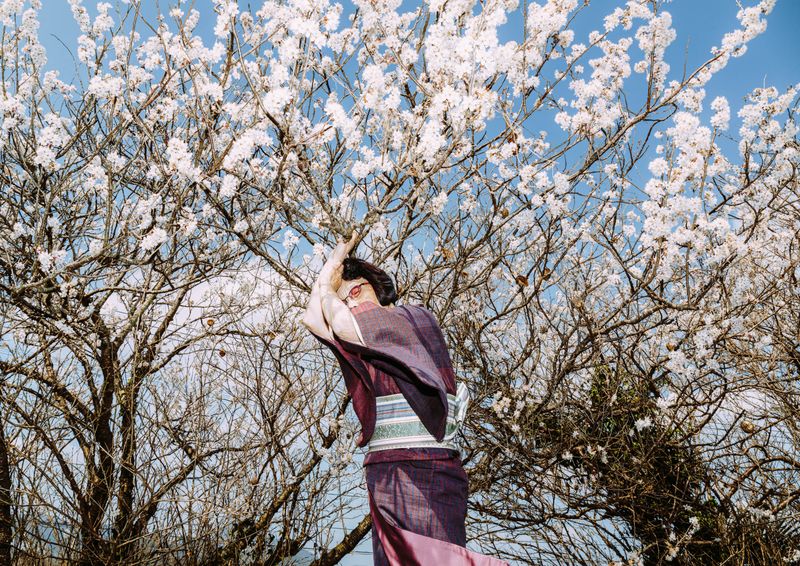 © Kenta Nakamura - Fukuoka, Ms. Oda's home garden. March 2017. In front of the cherry blossoms blooming at her home