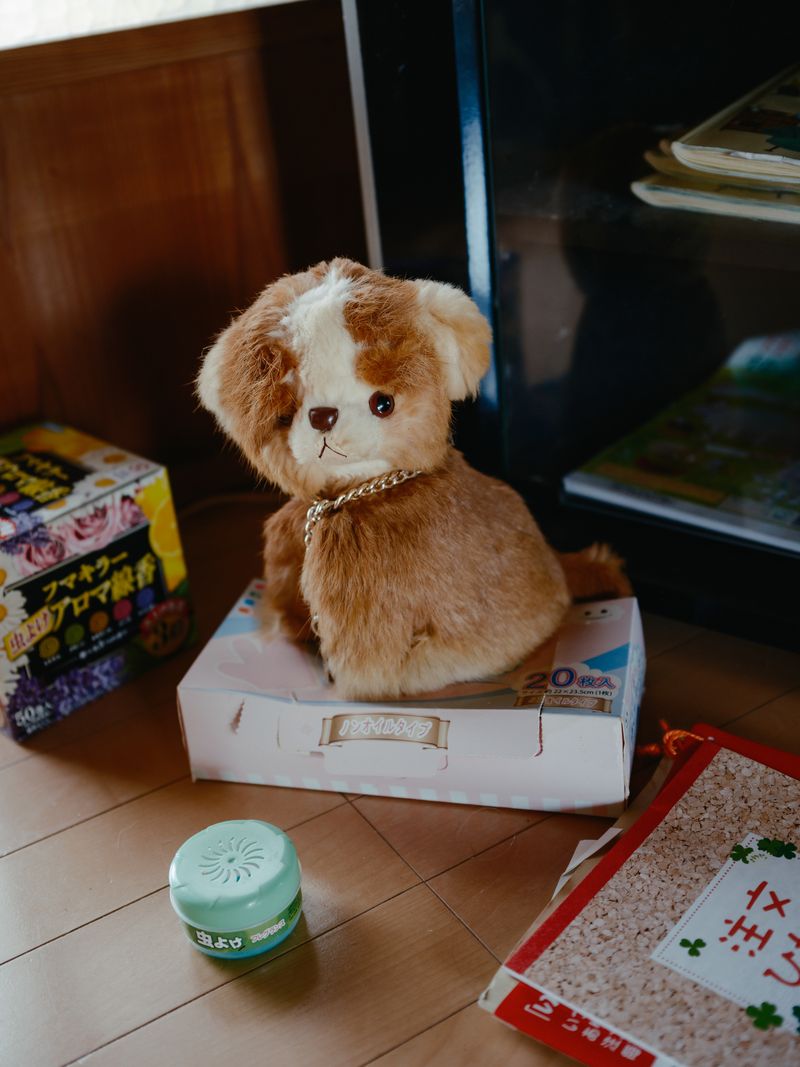 © Kenta Nakamura - Image from the We’ve Both Grown Older. photography project