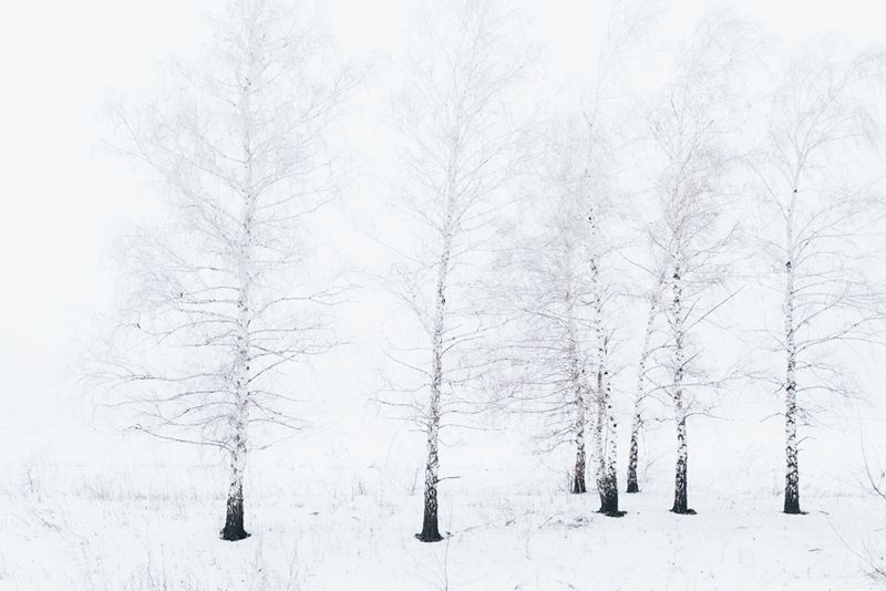 © Maxim Dondyuk - Image from the Between Life and Death photography project