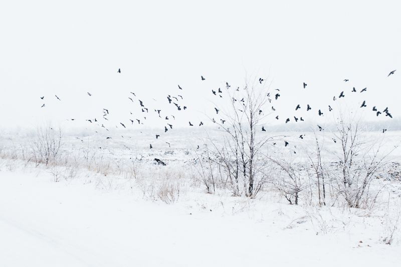 © Maxim Dondyuk - Image from the Between Life and Death photography project