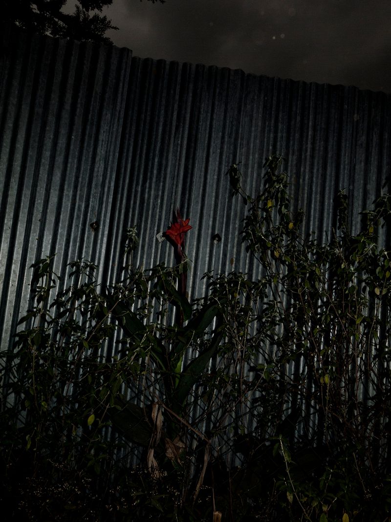 © Yurian Quintanas Nobel - Image from the A Smiling Man and a hidden snake photography project