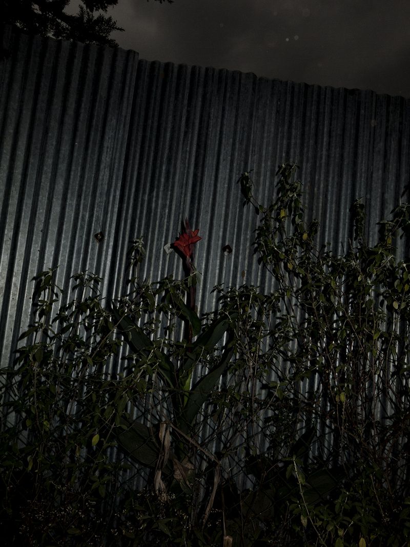 © Yurian Quintanas Nobel - Image from the A Smiling Man and a hidden snake photography project