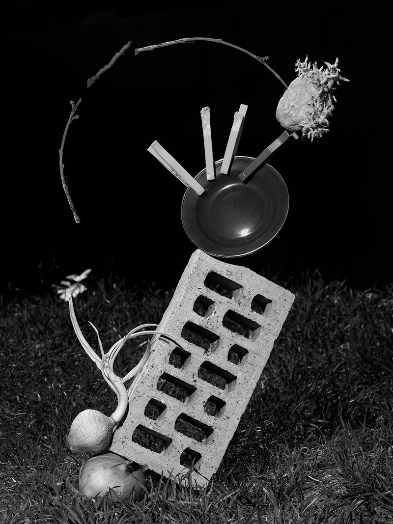 © Yurian Quintanas Nobel - Image from the The Ignorant Gardener photography project