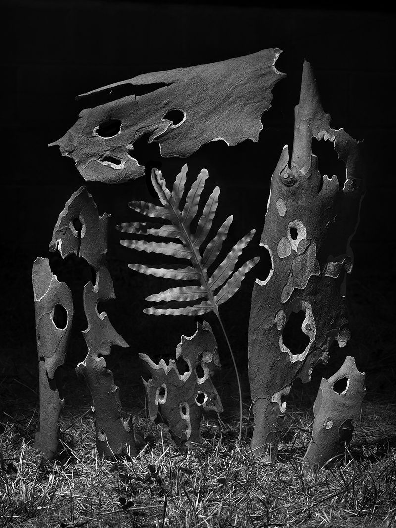 © Yurian Quintanas Nobel - Image from the The Ignorant Gardener photography project