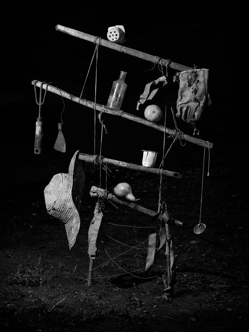 © Yurian Quintanas Nobel - Image from the The Ignorant Gardener photography project