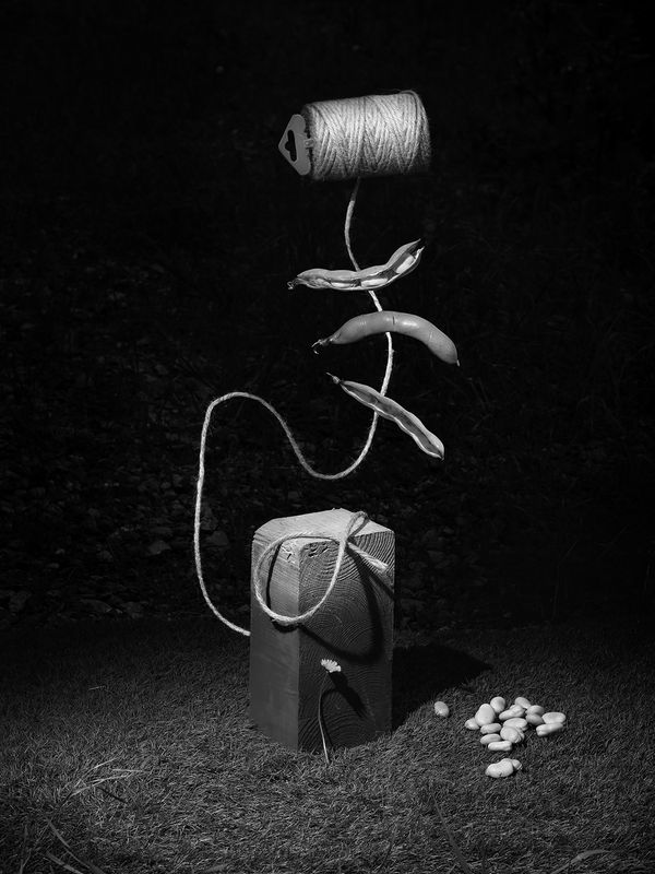 © Yurian Quintanas Nobel - Image from the The Ignorant Gardener photography project