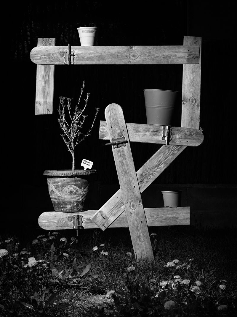 © Yurian Quintanas Nobel - Image from the The Ignorant Gardener photography project