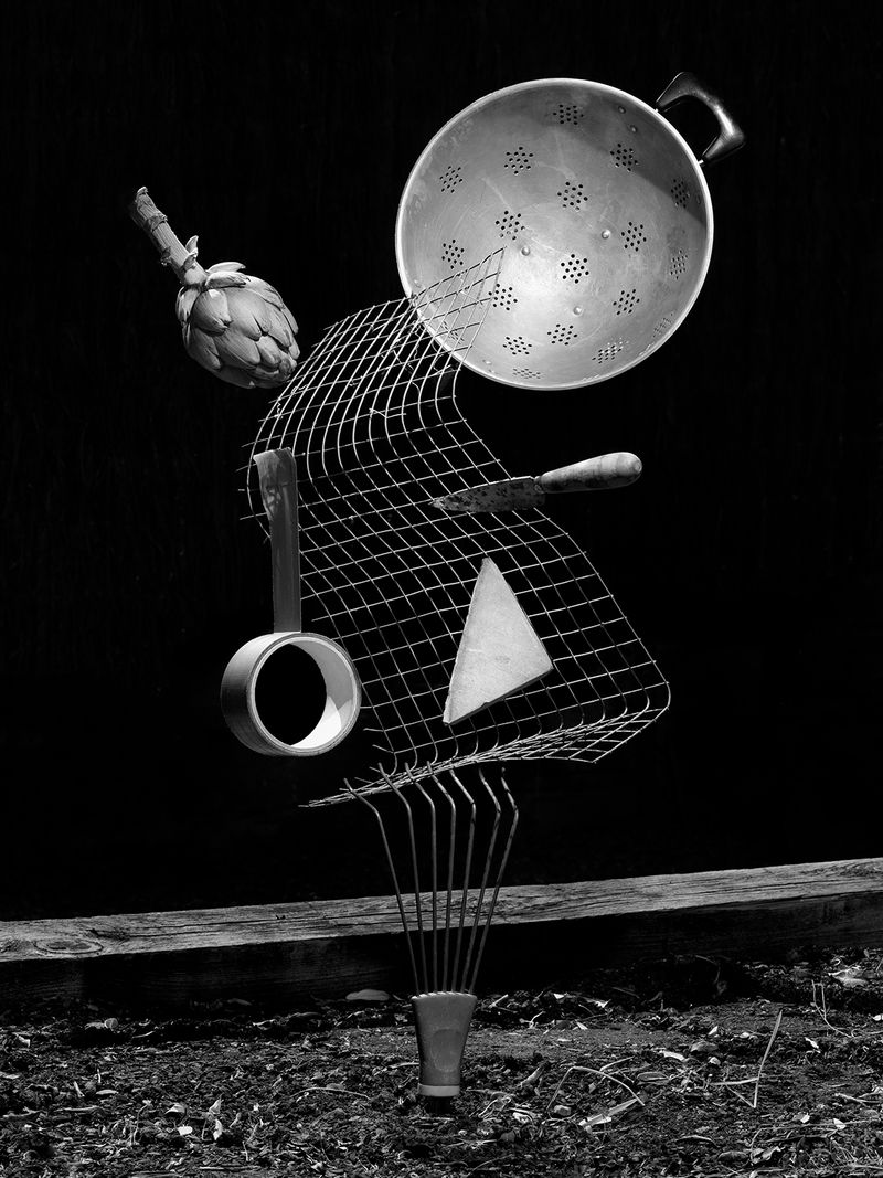 © Yurian Quintanas Nobel - Image from the The Ignorant Gardener photography project