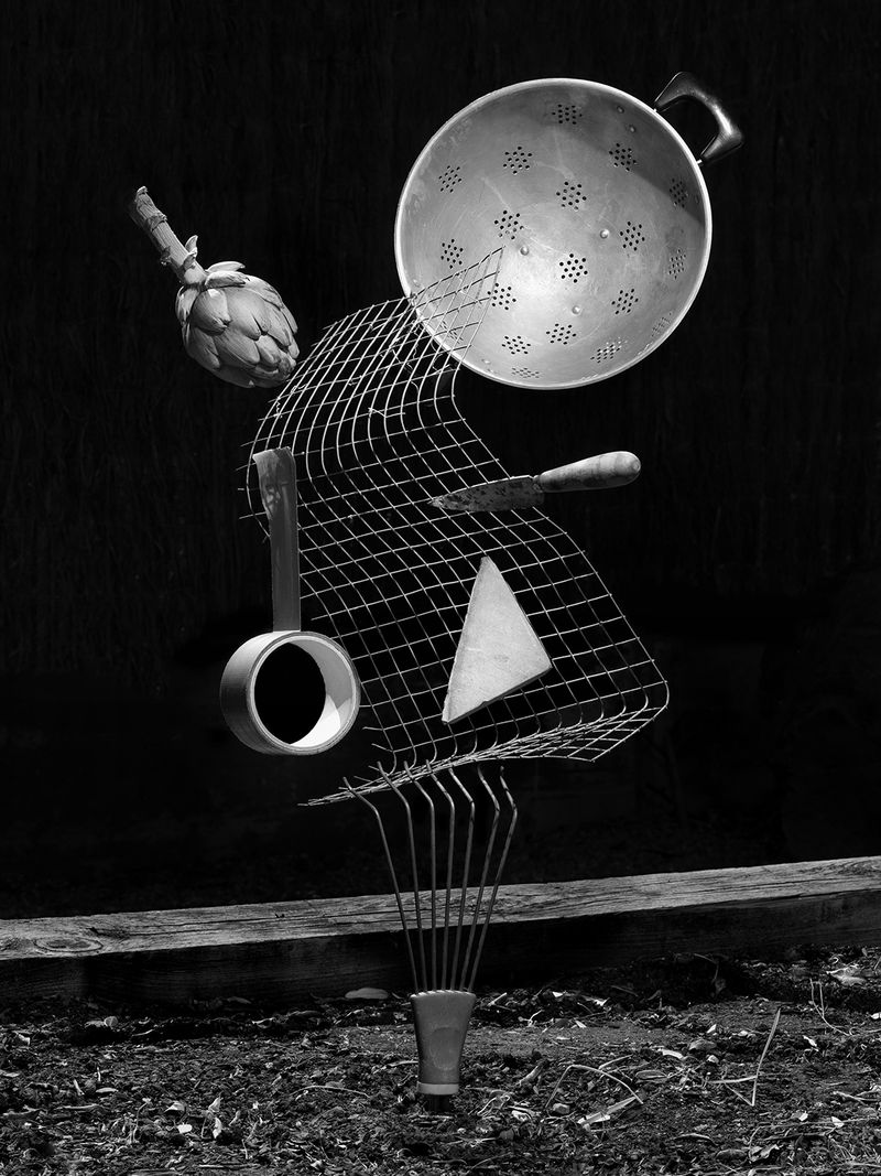 © Yurian Quintanas Nobel - Image from the The Ignorant Gardener photography project