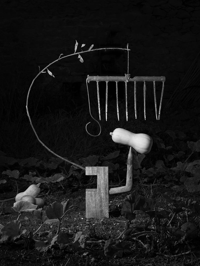 © Yurian Quintanas Nobel - Image from the The Ignorant Gardener photography project