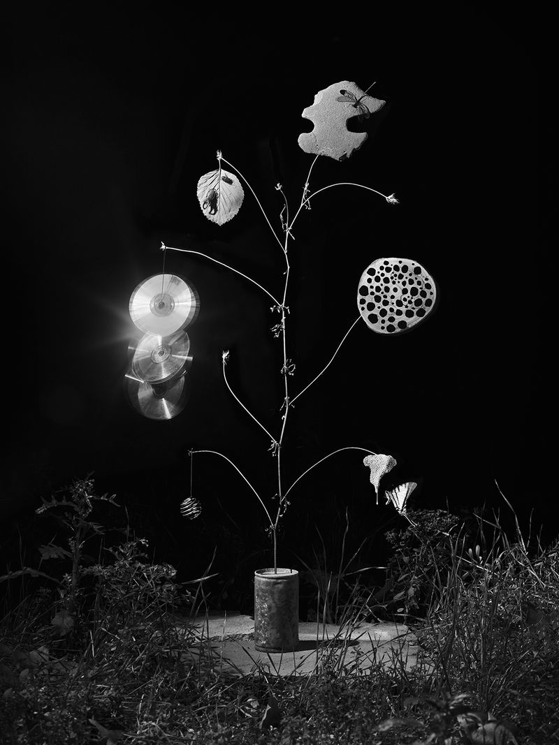 © Yurian Quintanas Nobel - Image from the The Ignorant Gardener photography project