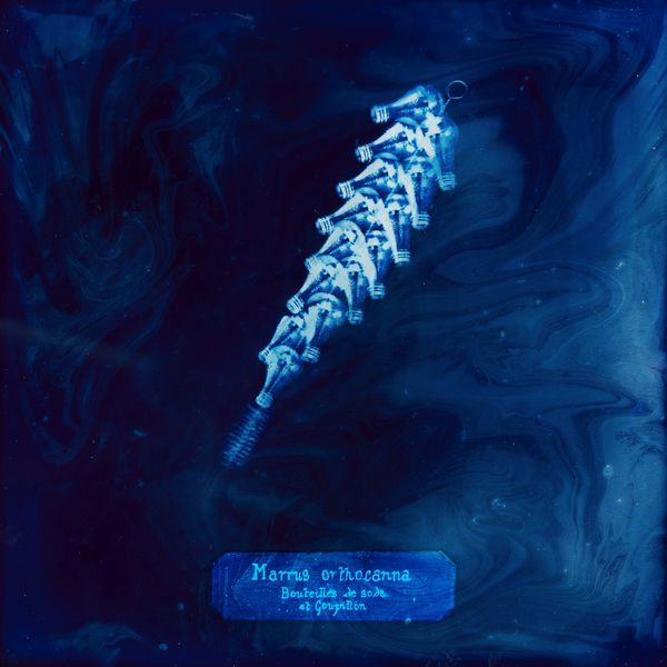 © Manon Lanjouère - Image from the The Particles, The Human Tale of a Dying Water photography project