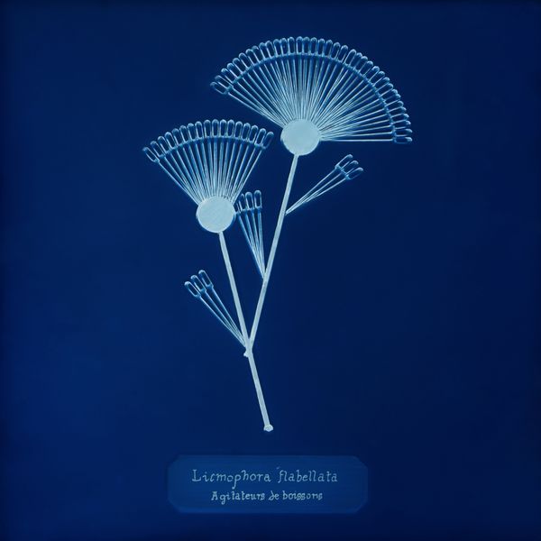 © Manon Lanjouère - Image from the The Particles, The Human Tale of a Dying Water photography project
