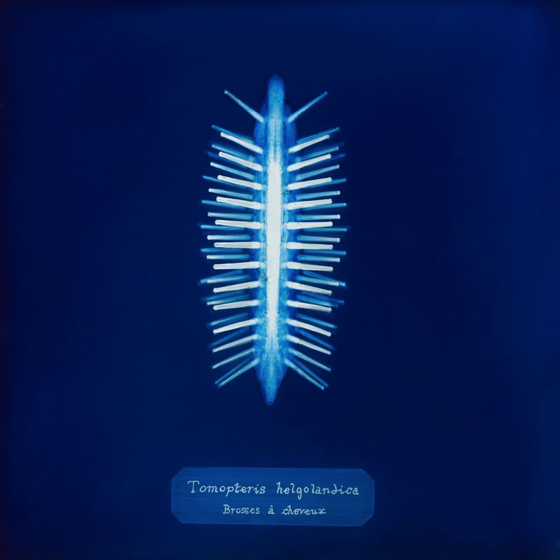 © Manon Lanjouère - hair brush. cyanotype on glass and fluo vinyl emulsion, 20x20cm