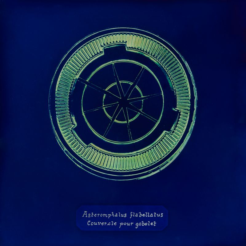 © Manon Lanjouère - cup lid. cyanotype on glass and fluo vinyl emulsion, 20x20cm