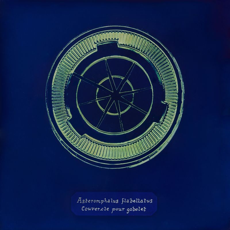© Manon Lanjouère - cup lid. cyanotype on glass and fluo vinyl emulsion, 20x20cm
