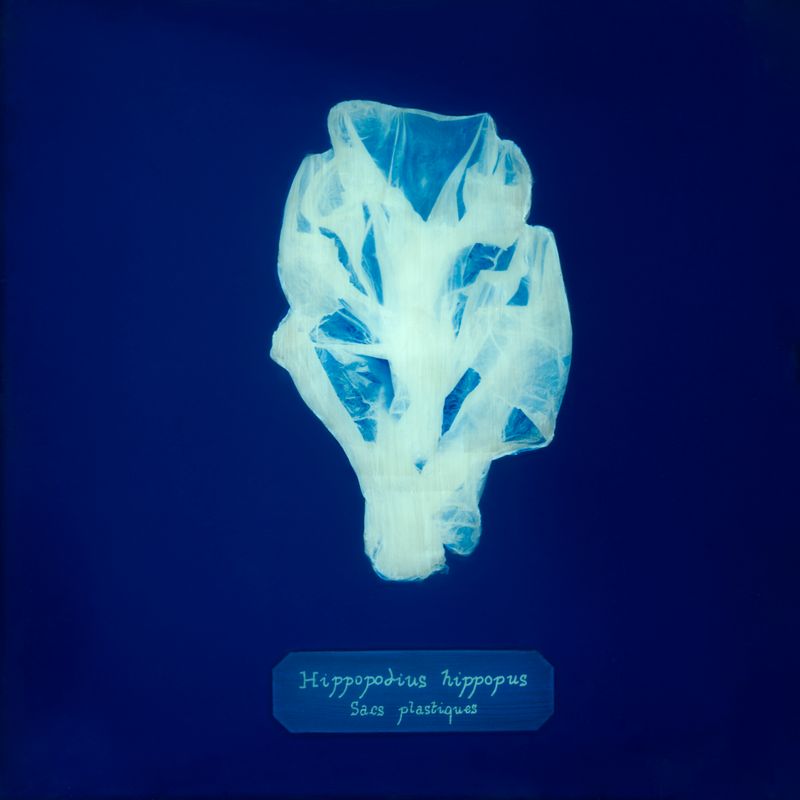 © Manon Lanjouère - plastic bags. cyanotype on glass and fluo vinyl emulsion, 20x20cm