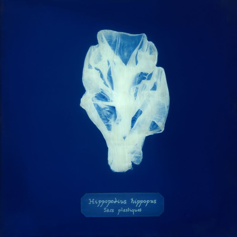© Manon Lanjouère - plastic bags. cyanotype on glass and fluo vinyl emulsion, 20x20cm