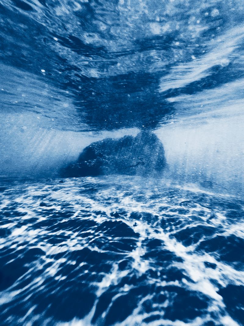 © Manon Lanjouère - Paysages sensibles #2, cyanotype on paper large format