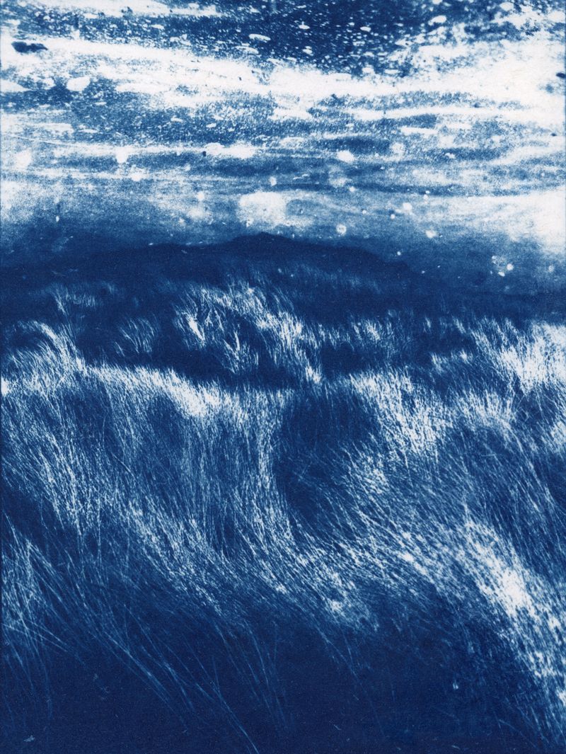 © Manon Lanjouère - Paysages sensibles #3, cyanotype on paper large format