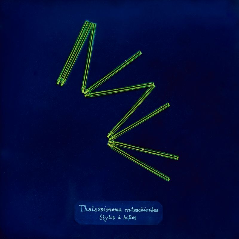 © Manon Lanjouère - Thalassionema nitzschioides, Ball-point pen, Cyanotype on glass and fluorescent vynil emulsion, 20x20 cm