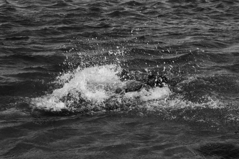 © Manon Lanjouère - Image from the La Mer Endormie (The Sleeping Sea) photography project