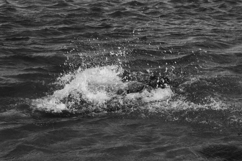 © Manon Lanjouère - Image from the La Mer Endormie (The Sleeping Sea) photography project