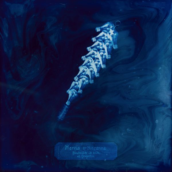 © Manon Lanjouère - Marrus orthocanna, Soda bottles and a bottle brush, Cyanotype on glass and fluorescent vynil emulsion, 20x20 cm